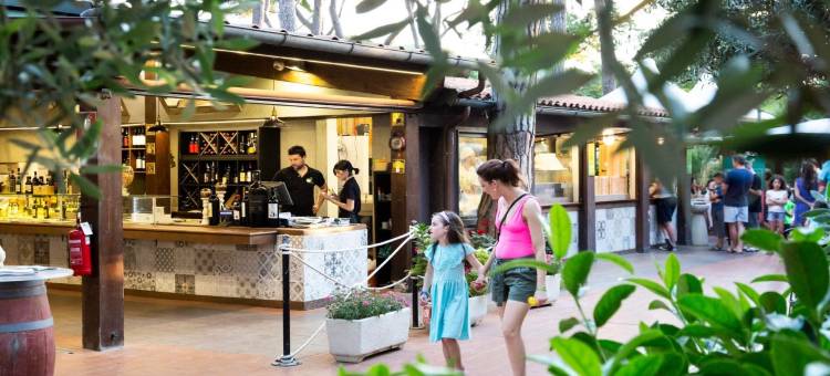 胡公园信天翁村(hu Park Albatros Village)图片