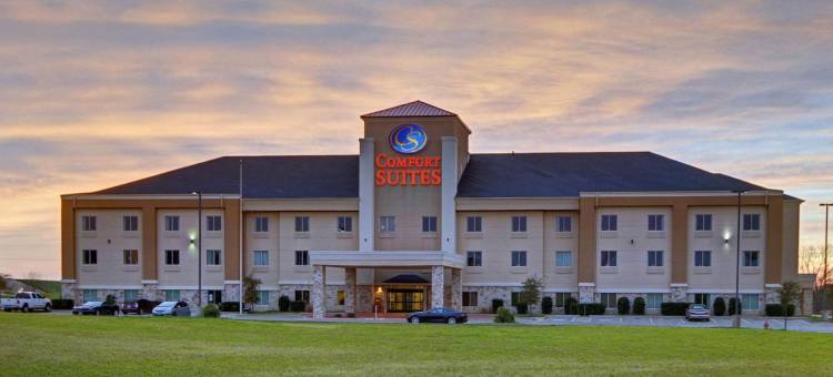 舒适套房酒店(Quality Suites Near Cedar Creek Lake)图片