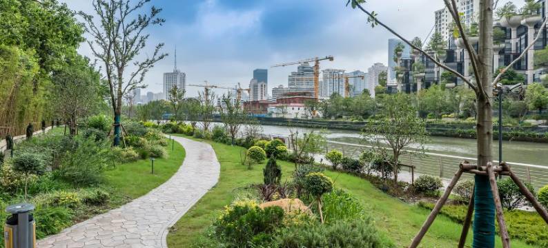 悠家1206上海公寓(绿洲湾路分店)图片