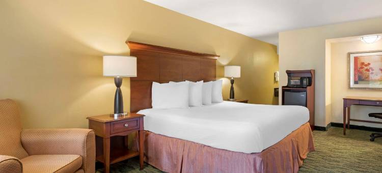 贝斯特韦斯特麦卡伦医疗中心(Best Western McAllen Medical Center)图片