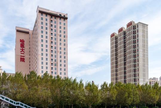 Rickyhome公寓(铁顺街分店)