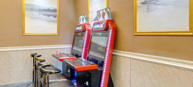 济南向阳轰趴别墅(奥体中路分店)图片