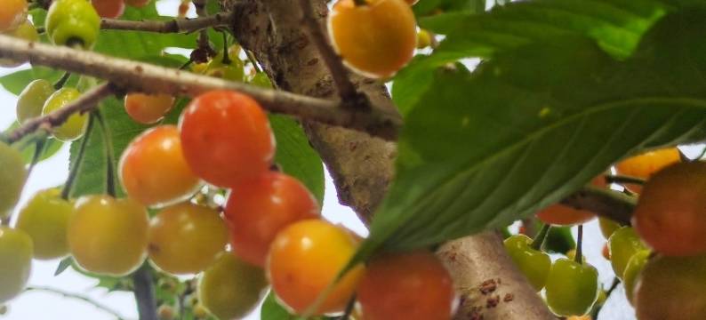 临安湍口东篱小筑民宿(湍考线1号分店)图片