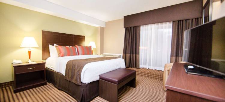 渥太华/卡纳塔酒店及会议中心贝斯特韦斯特优质酒店(Best Western Plus Ottawa Kanata Hotel  Conference Centre)图片