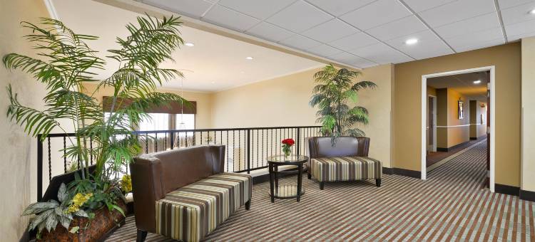 卡廷马贝斯特韦斯特优质套房酒店(Best Western Plus Cutting Horse Inn  Suites)图片