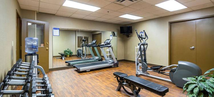 市中心舒适酒店(Comfort Inn Downtown)图片