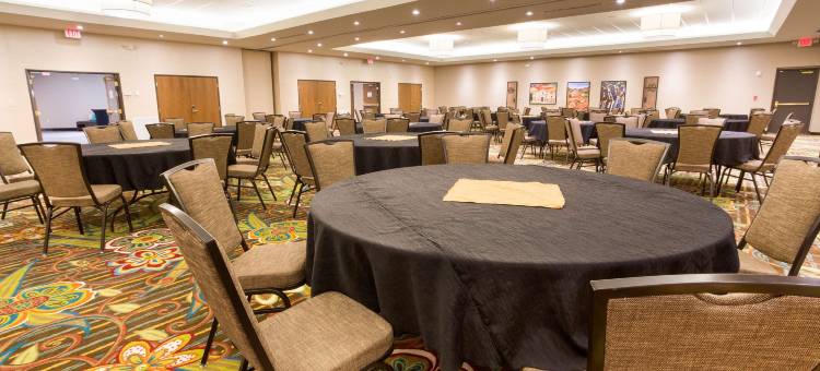 迈克艾伦德鲁里套房酒店(Drury Inn & Suites McAllen)图片