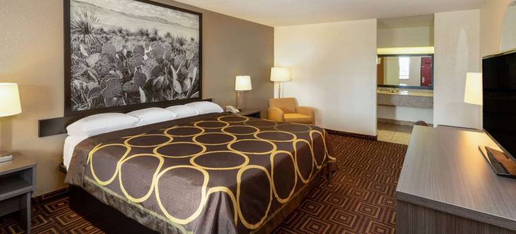 塞金温德姆速8酒店(Super 8 by Wyndham Seguin)图片