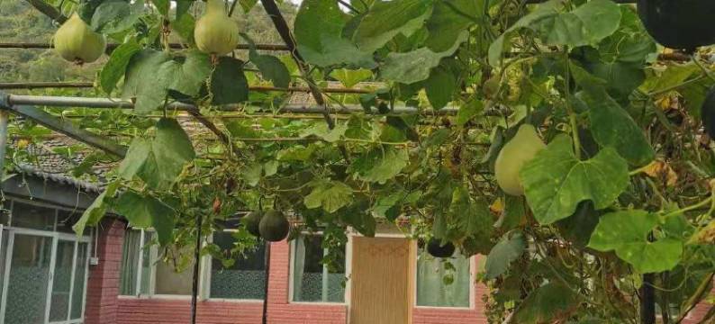 雾灵山畔山墅民宿图片