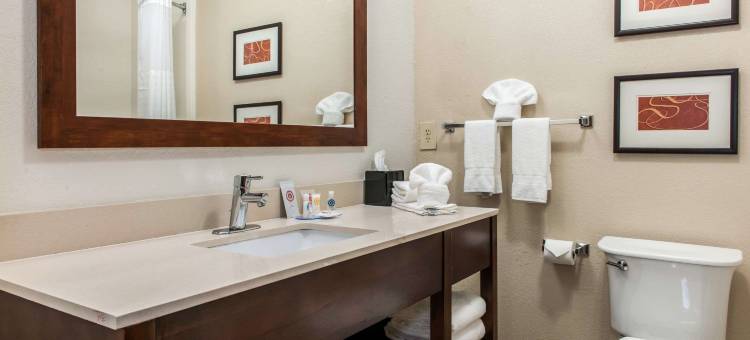 北布鲁艾施舒适酒店(Comfort Inn Blue Ash North)图片