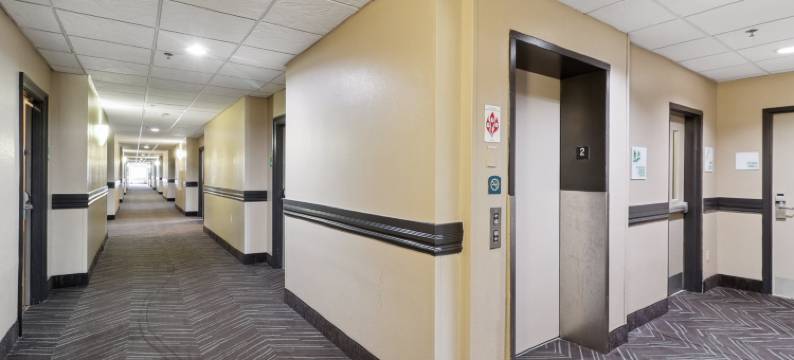 斯莱德尔假日酒店及套房(Holiday Inn & Suites SLIDELL - NEW ORLEANS AREA by IHG)图片