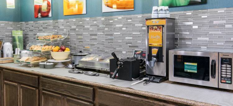 品质套房酒店(Quality Inn & Suites)图片