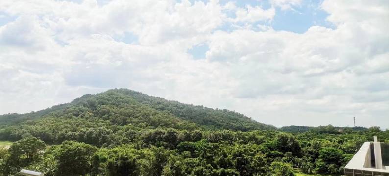 同尘小筑民宿图片