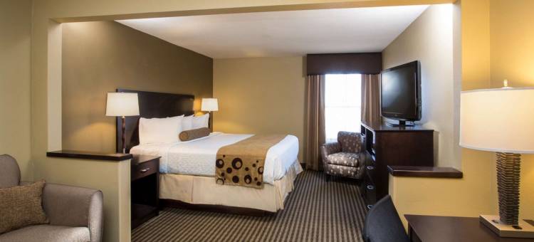 米沙沃卡贝斯特韦斯特优质酒店(Best Western Plus Mishawaka Inn)图片