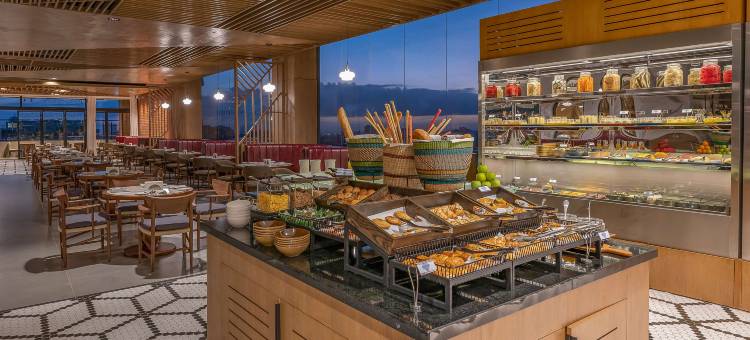 内罗毕西区凯悦酒店(Hyatt Regency Nairobi Westlands)图片