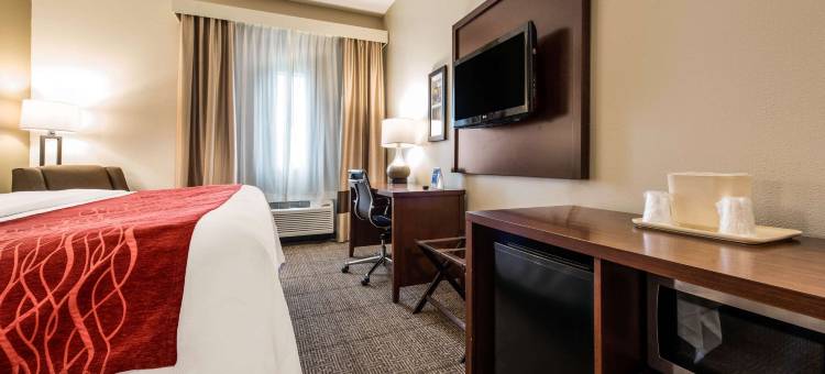 特斯柏罗-肯特舒适套房酒店(Comfort Inn & Suites Streetsboro - Kent)图片