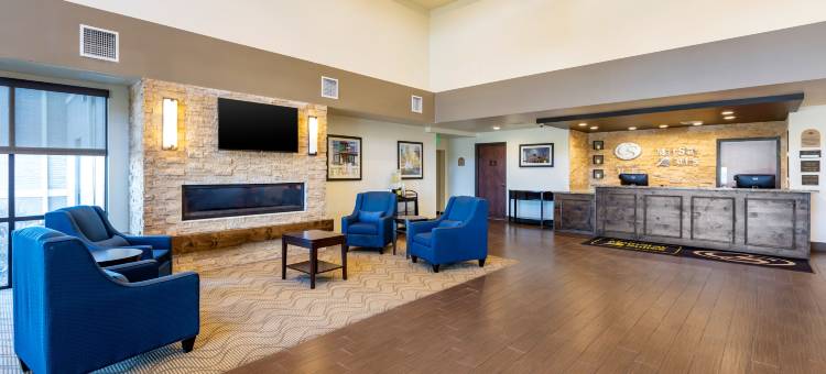 舒适套房酒店-近丹佛市区(Comfort Suites Near Denver Downtown)图片