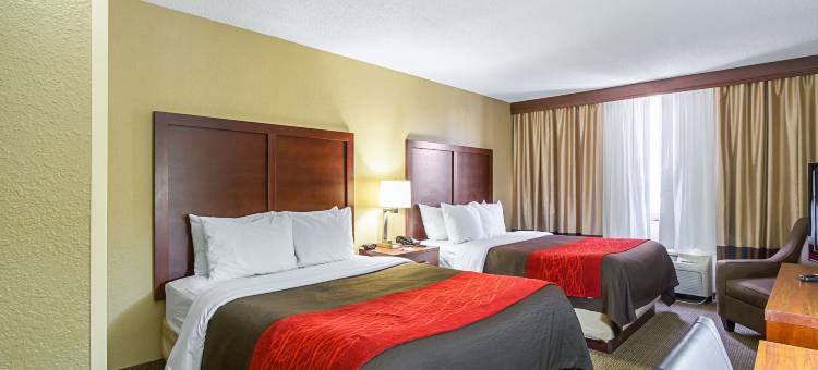 市中心舒适酒店(Comfort Inn Downtown)图片