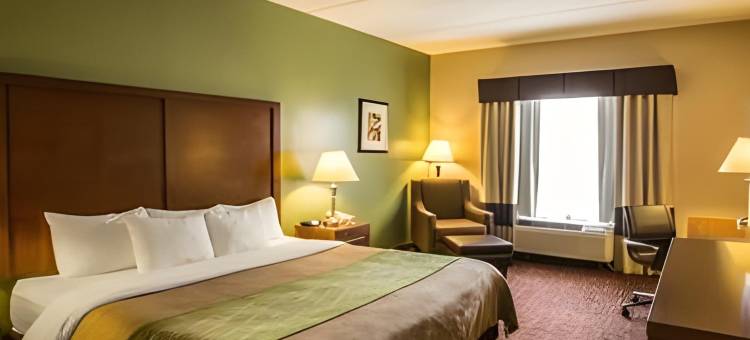 阿什维尔机场舒适酒店(Comfort Inn Asheville Airport)图片