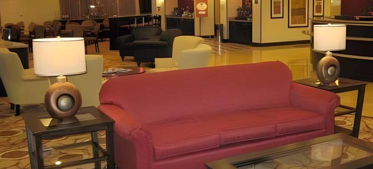 岩石丘曼彻斯特梅多斯区舒适套房酒店(Comfort Suites Rock Hill Manchester Meadows Area)图片