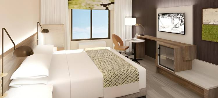 北伯根西考克斯温德姆花园酒店(Wyndham Garden North Bergen - Secaucus)图片