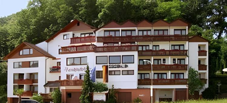 DEVA酒店Renchtalblick(Deva Hotel Renchtalblick)图片