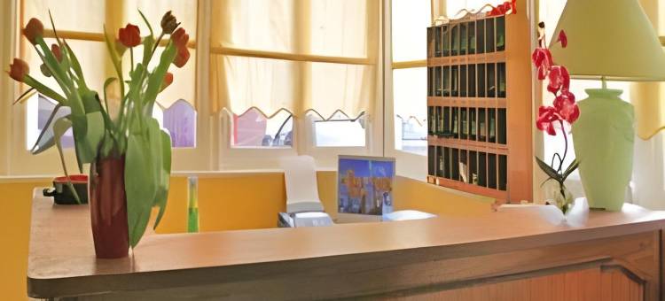 金狮酒店和Spa(Hôtel le Lion d'or)图片
