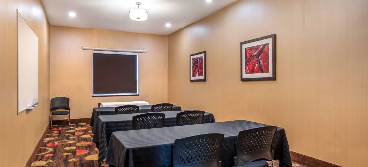 金德斯利贝斯特韦斯特优质酒店(Best Western Plus Kindersley Hotel)图片