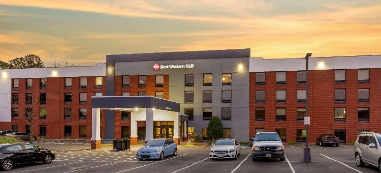 Best Western Executive Hotel图片