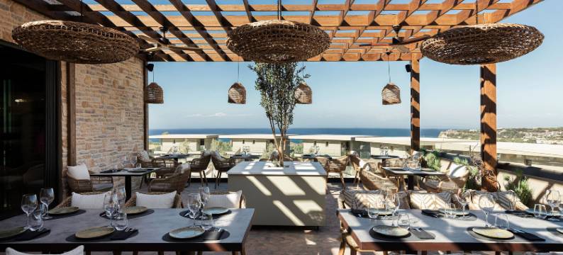 为成人设计的King Jason Zante(King Jason Zante – Designed for Adults)图片