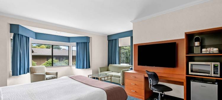 迪安萨贝斯特韦斯特酒店(Best Western de Anza Inn)图片