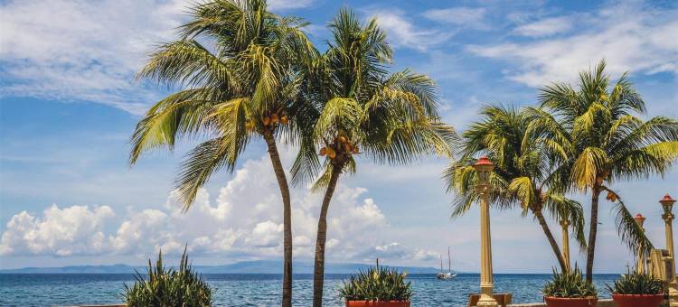 曼哈顿套房酒店(Manhattan Suites Inn)图片