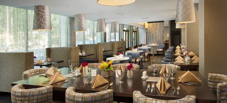 Skybridge西雅图机场酒店(Skybridge Seattle Airport Hotel)图片