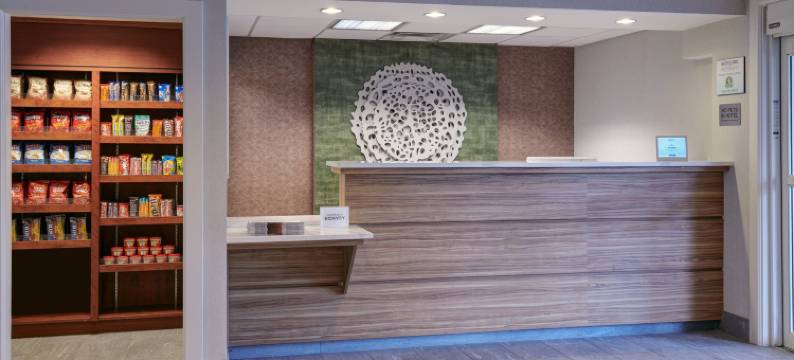 底特律利沃尼万枫酒店(Fairfield Inn & Suites Detroit Livonia)图片