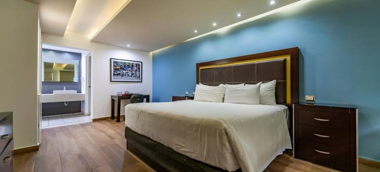 昆塔多拉达酒店&套房(Quinta Dorada Hotel & Suites)图片