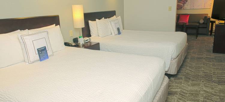 休斯敦皮尔兰SpringHill Suites酒店(SpringHill Suites Houston Pearland)图片