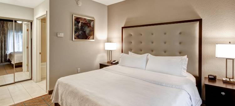 希尔顿坦帕 - 里奇港侯姆乌套房酒店(Homewood Suites by Hilton Tampa-Port Richey)图片