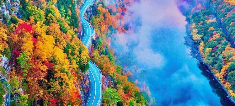 Treeview - Cozy 2 BR Apartment -  Fast WiFi ~ 1 hr from NYC - 5 mins to downtown图片