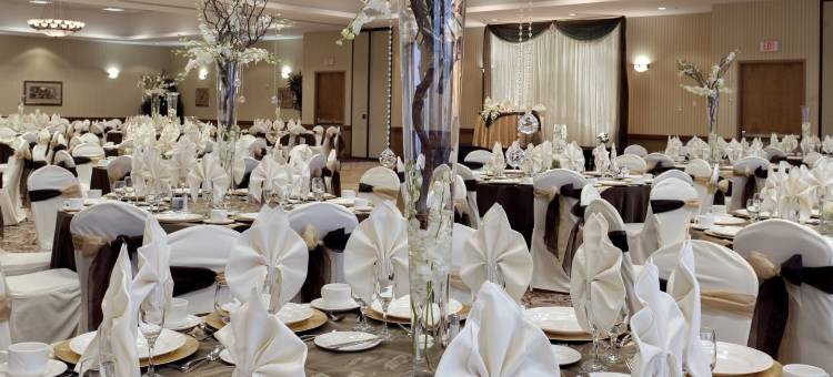 南安纳海姆希尔顿大使套房酒店(Embassy Suites by Hilton Anaheim South)图片