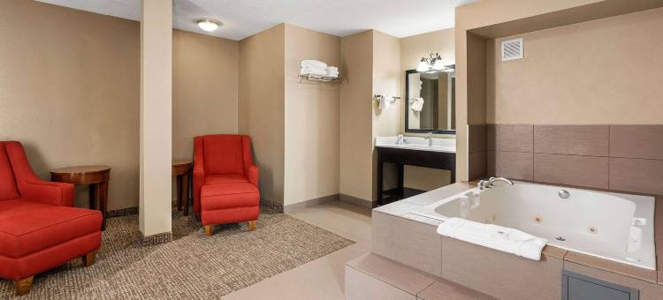 温馨酒店及套房温哥华市中心(Comfort Inn & Suites Vancouver Downtown City Center)图片