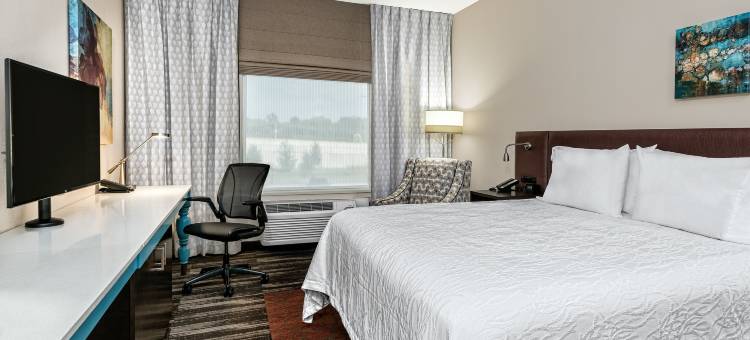 希尔顿花园酒店-圣马科斯(Hilton Garden Inn San Marcos)图片