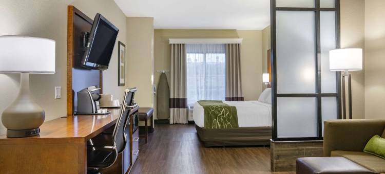 赫勒拿机场舒适套房酒店(Comfort Suites Helena Airport)图片