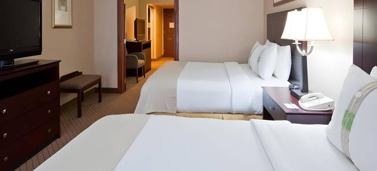 沃索罗斯柴尔德假日套房酒店(Holiday Inn & Suites Wausau-Rothschild)图片