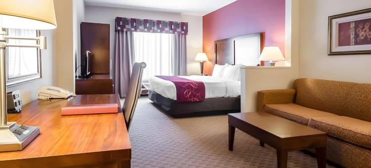 普雷斯顿斯堡西舒适套房酒店(Comfort Suites Prestonsburg West)图片