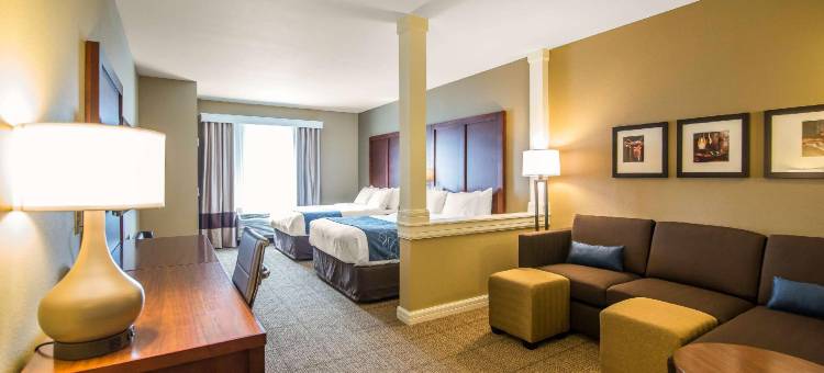 舒适套房酒店(Comfort Suites - Dodge City)图片