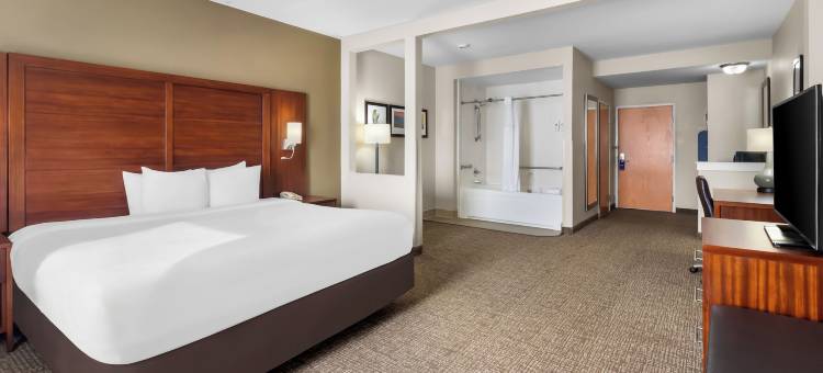 河闸商场舒适套房酒店(Comfort Suites at Rivergate Mall)图片
