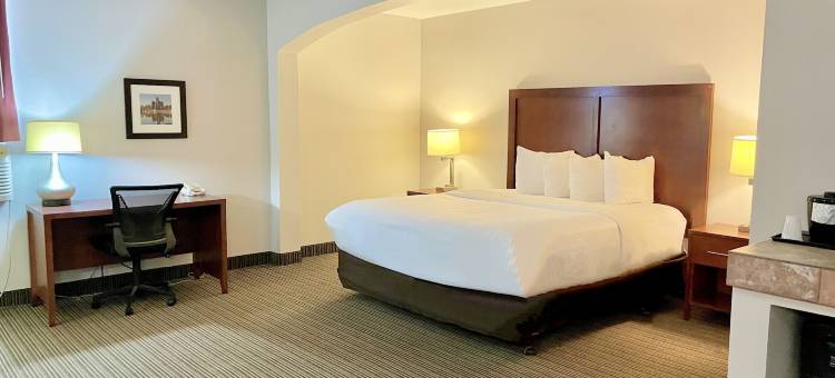 巴特尔克里克品质酒店(Country Inn & Suites by Radisson, Battle Creek, MI)图片