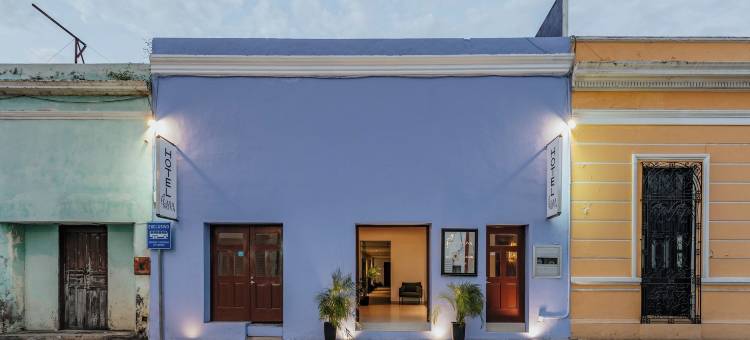 卡萨诺瓦梅尼达酒店(Hotel Casa Nova, Merida)图片