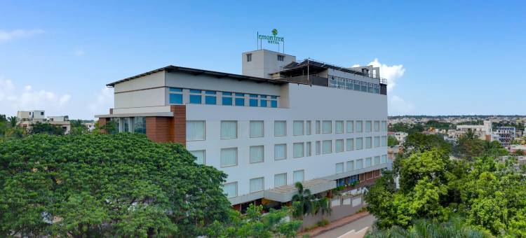 柠檬树酒店胡布利(Lemon Tree Hotel, Hubli)图片