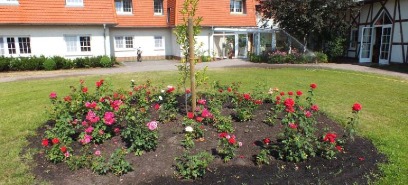 卡尔斯拉斯特看见酒店及餐厅(Seehotel & Restaurant Karlslust)图片